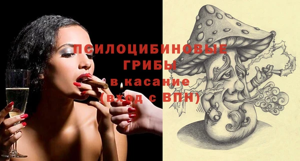 молекула духа Верхний Тагил