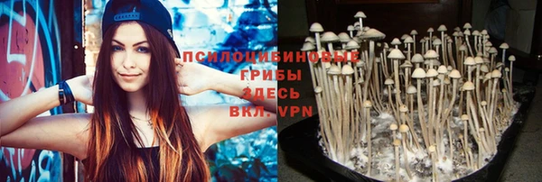 молекула духа Верхний Тагил