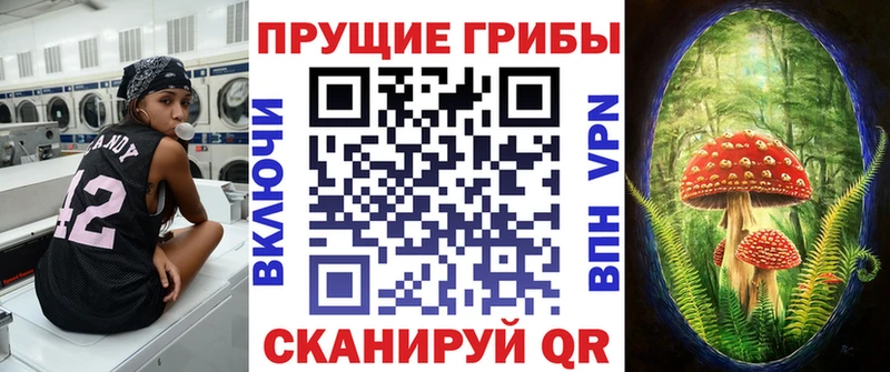 купить Снежинск Псилоцибиновые грибы ЛСД